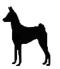 Basenji Club Nederland Basenji Club Nederland