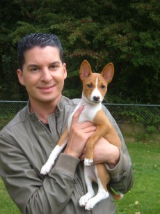 Basenji Bia pup