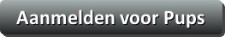 Er zijn pups beschikbaar! Er zijn pups beschikbaar!